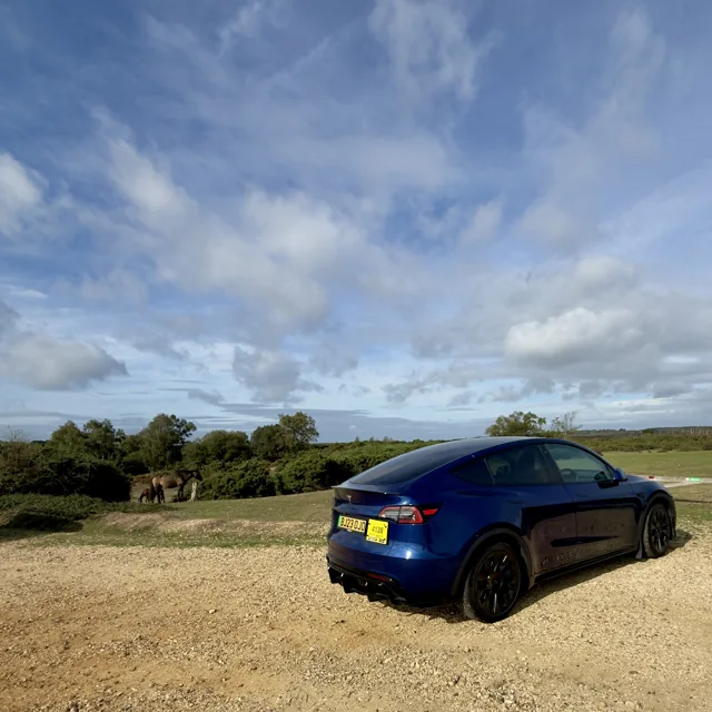 Blue EV Rider Tesla in the New Forest with ponies in the background